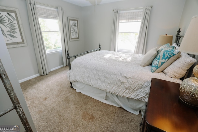 8 Crepe Myrtle, Newnan, GA 30263 - bedroom featuring carpet flooring and baseboards