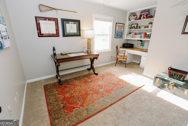 8 Crepe Myrtle, Newnan, GA 30263 - carpeted office space with baseboards