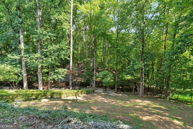 1590 Sunnybrook Farm Rd, Atlanta, GA 30350 - view of woods