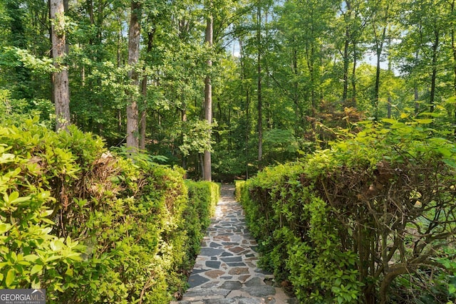 1590 Sunnybrook Farm Rd, Atlanta, GA 30350 - view of community