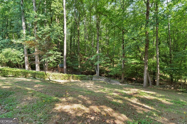 1590 Sunnybrook Farm Rd, Atlanta, GA 30350 - view of yard with a forest view