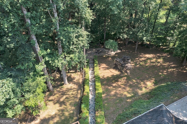 1590 Sunnybrook Farm Rd, Atlanta, GA 30350 - view of yard
