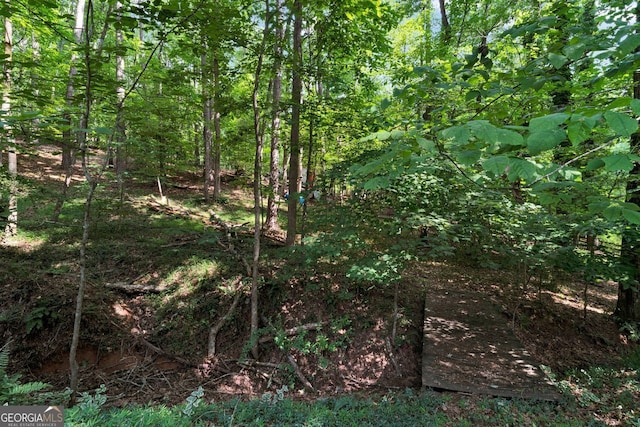 1590 Sunnybrook Farm Rd, Atlanta, GA 30350 - view of wooded area