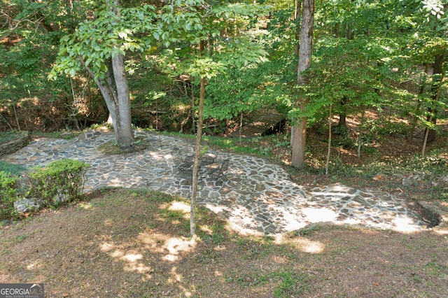 1590 Sunnybrook Farm Rd, Atlanta, GA 30350 - view of yard