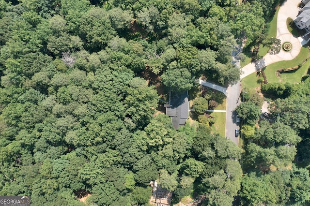 1590 Sunnybrook Farm Rd, Atlanta, GA 30350 - aerial view of property and surrounding area featuring a forest