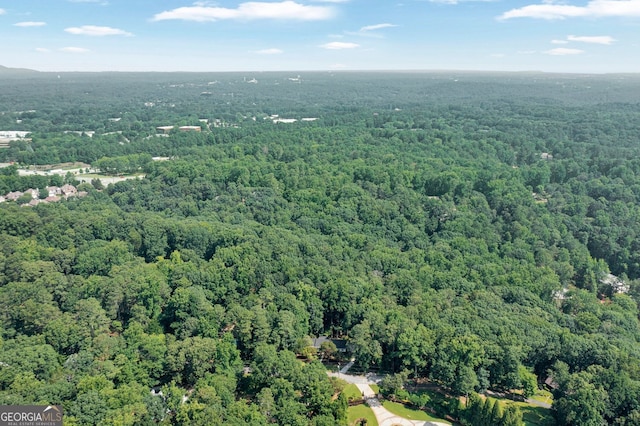 1590 Sunnybrook Farm Rd, Atlanta, GA 30350 - aerial view of property and surrounding area featuring a forest