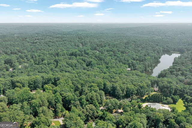 1590 Sunnybrook Farm Rd, Atlanta, GA 30350 - bird's eye view of a heavily wooded area and a nearby body of water
