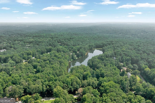 1590 Sunnybrook Farm Rd, Atlanta, GA 30350 - aerial view of a forest and a large body of water