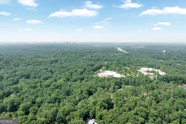 1590 Sunnybrook Farm Rd, Atlanta, GA 30350 - aerial view of a forest