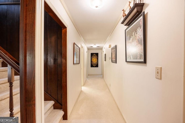205 Castlegate Rd, Macon, GA 31210 - hall with light colored carpet, stairs, and ornamental molding