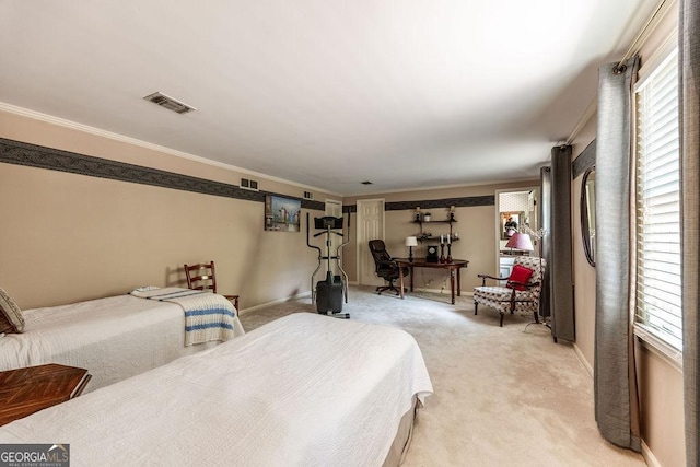 205 Castlegate Rd, Macon, GA 31210 - bedroom featuring multiple windows, ornamental molding, and light carpet