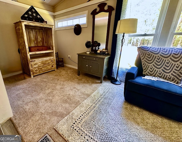245 Clearwater Rd, Sharpsburg, GA 30277 - sitting room with healthy amount of natural light and carpet floors