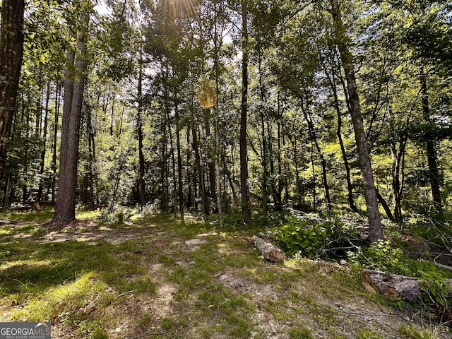245 Clearwater Rd, Sharpsburg, GA 30277 - view of tree filled area