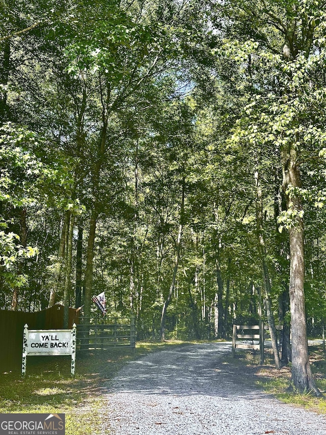 245 Clearwater Rd, Sharpsburg, GA 30277 - view of dirt / gravel road