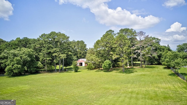 4393 Cannon Rd, Loganville, GA 30052 - view of green lawn