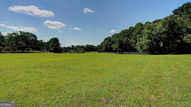 4393 Cannon Rd, Loganville, GA 30052 - view of green lawn