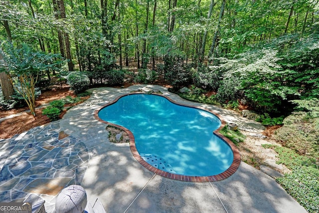 4393 Cannon Rd, Loganville, GA 30052 - outdoor pool with a patio area and a wooded view