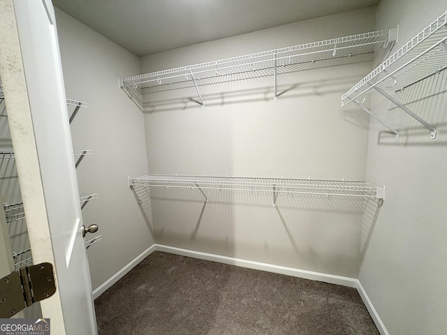 248 Webster Lake Dr, Temple, GA 30179 - walk in closet featuring carpet flooring
