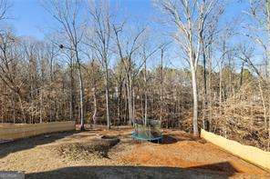 507 Legacy Park Ln, Powder Springs, GA 30127 - view of yard