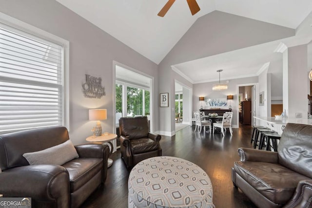 202 Jackson Rd SE, Milledgeville, GA 31061 - living room featuring lofted ceiling, dark wood-style floors, ceiling fan, and a chandelier