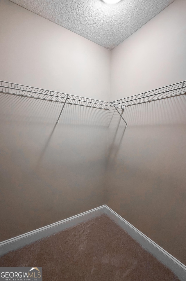 152 Huron Loop, Brunswick, GA 31523 - walk in closet with carpet