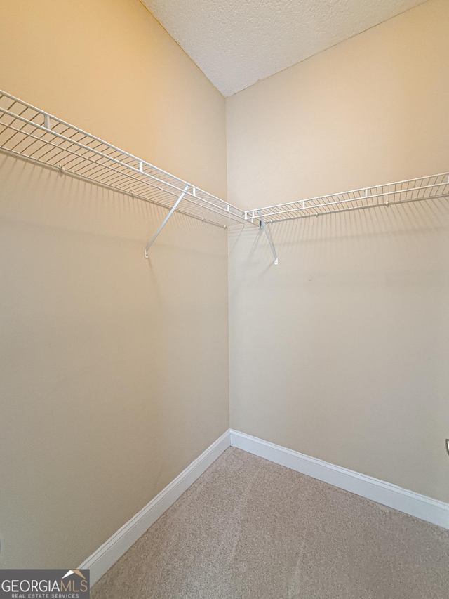 152 Huron Loop, Brunswick, GA 31523 - spacious closet with carpet