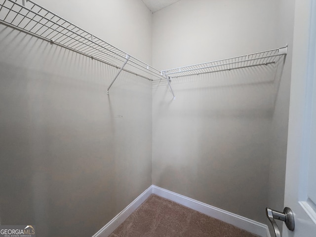 152 Huron Loop, Brunswick, GA 31523 - spacious closet with carpet floors