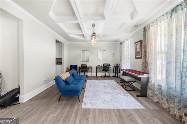 349 Garnet Dr, Acworth, GA 30101 - living area with coffered ceiling, wood finished floors, and beamed ceiling
