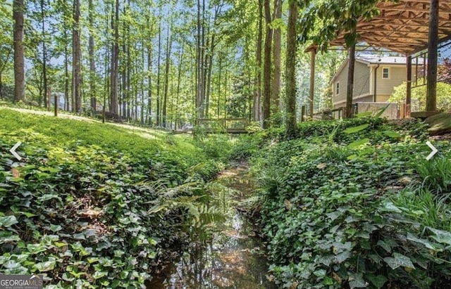 4352 Treeline Way, Douglasville, GA 30135 - view of local wilderness
