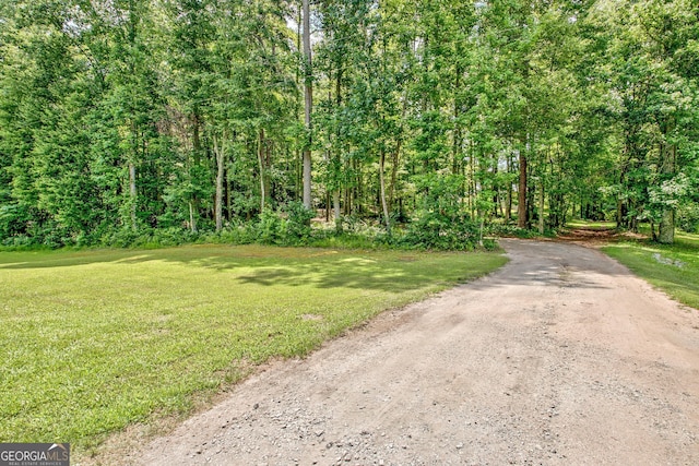 351 Weldon Rd, Palmetto, GA 30268 - view of street