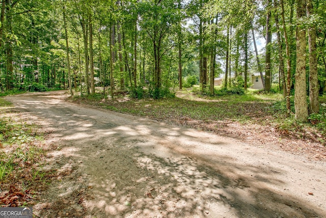 351 Weldon Rd, Palmetto, GA 30268 - view of road featuring a wooded view