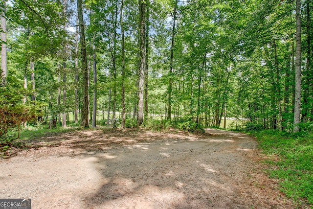 351 Weldon Rd, Palmetto, GA 30268 - view of yard with a wooded view