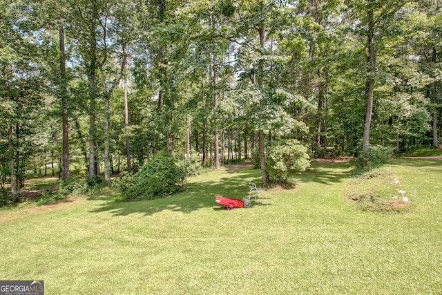 351 Weldon Rd, Palmetto, GA 30268 - view of grassy yard