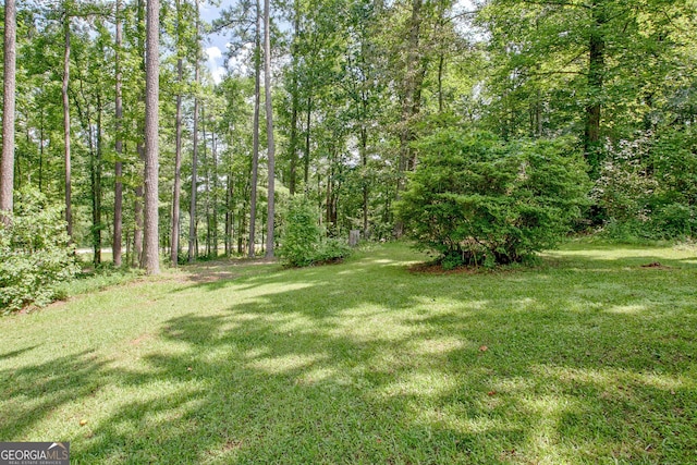 351 Weldon Rd, Palmetto, GA 30268 - view of green lawn
