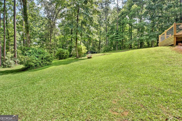 351 Weldon Rd, Palmetto, GA 30268 - view of grassy yard