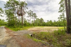 0 Zettler Rd, Springfield, GA 31329