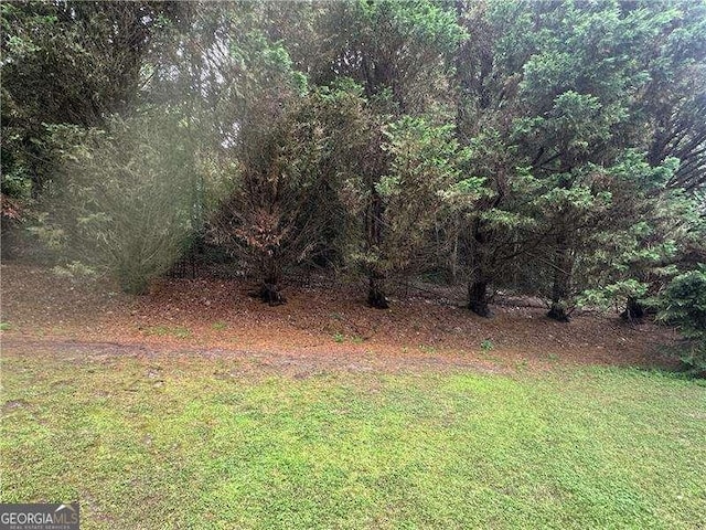 4189 Duncan Ives Dr, Buford, GA 30519 - view of grassy yard