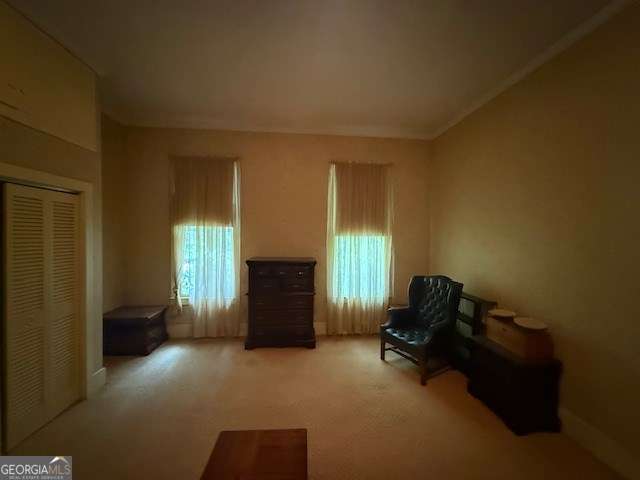 2205 Wilson Ave, Tifton, GA 31794 - sitting room with carpet and ornamental molding