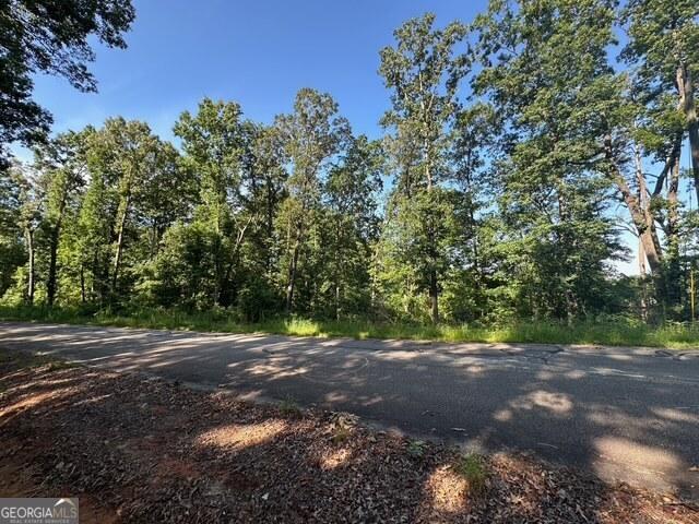 TRACT2 Hickory Log Cir, Eastanollee, GA 30538