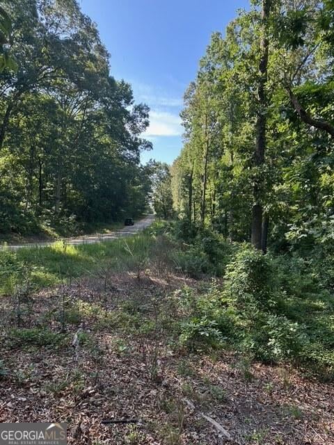 TRACT2 Hickory Log Cir, Eastanollee, GA 30538