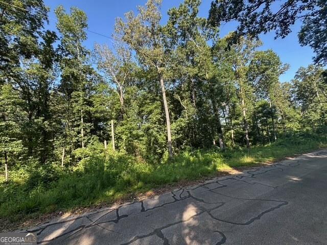 TRACT2 Hickory Log Cir, Eastanollee, GA 30538
