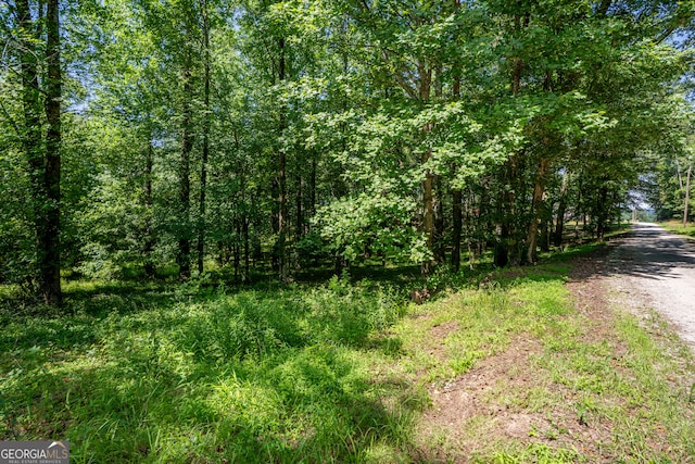 0 James Rd, Clarkesville, GA 30523