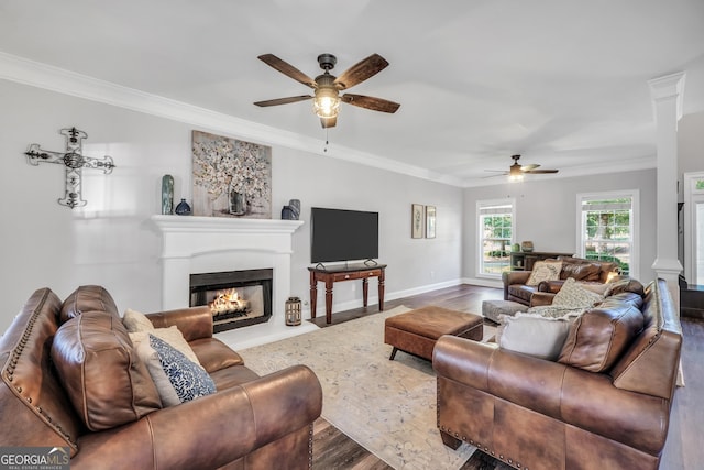 106 Big Cotton Trl, Mcdonough, GA 30252 - living area with ceiling fan, crown molding, wood finished floors, and a lit fireplace