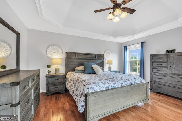106 Big Cotton Trl, Mcdonough, GA 30252 - bedroom with a tray ceiling, wood finished floors, and a ceiling fan