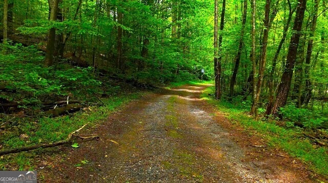 0 Nocona Trl, Ellijay, GA 30536 - view of road featuring a view of trees