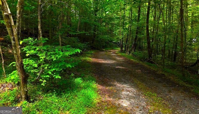 0 Nocona Trl, Ellijay, GA 30536 - view of street with a view of trees