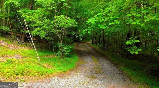0 Nocona Trl, Ellijay, GA 30536 - view of road