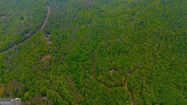 0 Nocona Trl, Ellijay, GA 30536 - aerial view of property's location featuring a forest