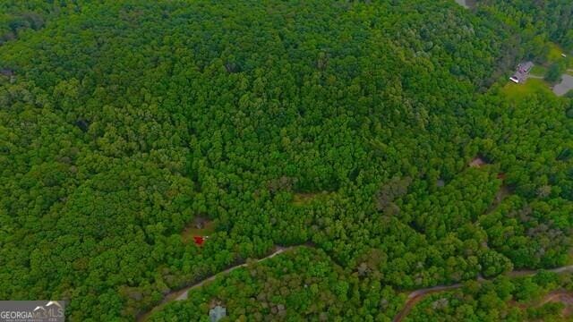 0 Nocona Trl, Ellijay, GA 30536 - aerial view of property's location featuring a forest
