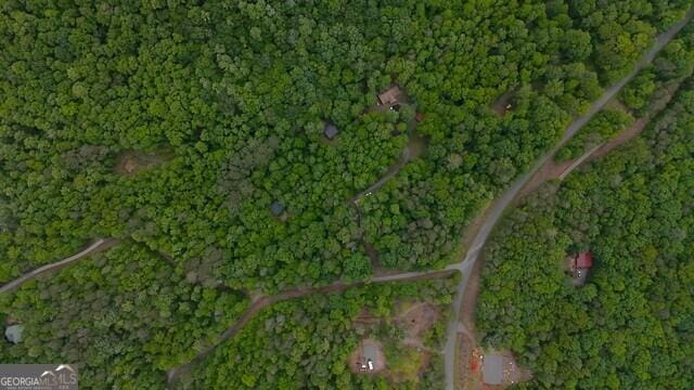 0 Nocona Trl, Ellijay, GA 30536 - view of property location